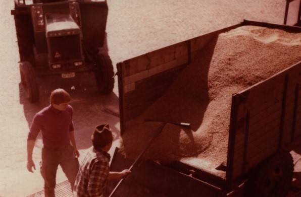 Getreideanlieferung lose 1975