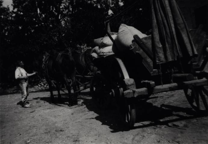 Mehlausfuhr mittels Pferdewagen 1921